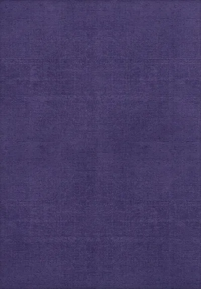 Art Silk Rug